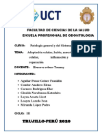 Adaptación Celular, Lesión, Muerte Celular, Inflamación y Reparación PDF