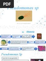 Pseudomonas SP y Aeruginosas