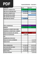 Hoja de Flujo de Caja Practica Dirigida