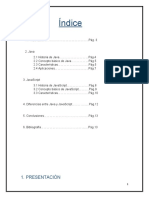 JAVA Y JAVA SCRIPT Informe