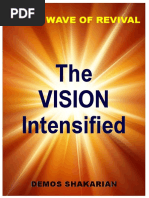 Vision Intensified PDF