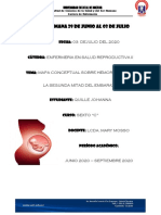 Mapas Conceptuales Sobre Hemorragia de La Segunda Mitad Del Embarazo PDF