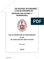 Guias de Lab Hidrocarburos2019