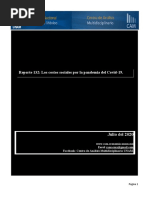 Reporte 132 Los Costos Sociales Por La Pandemia Del Covid 19