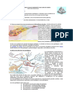 ERASGEOLOGICASguia No 2