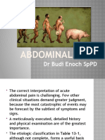 Abdominal Pain: DR Budi Enoch SPPD