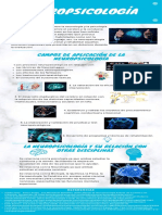 Actividad 2 - La Neuropsicología en El Mundo Laboral