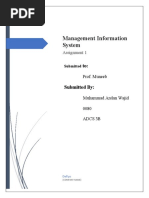 Management Information System: Assignment 1