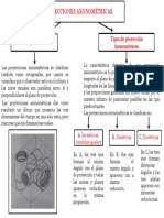 Mapa 1.0 Proyecciones PDF