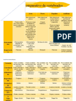 Cuadro Comparativo de Vertebrados