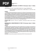 Document PDF