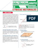 Magnitudes Físicas Vectoriales I: Marco Teórico