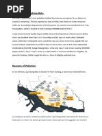 Pollution in SG - Tukang Batu: (CITATION Ger19 /L 17417)