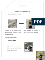 Lab Carbohidratos