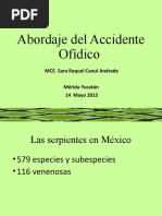 Abordaje Del Accidente Ofídico