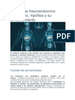 El Sistema Neuroendocrino