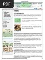 Soil Bacteria - NRCS Soils