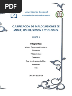 Clasificación de Maloclusiones de Angle Lisher Simon y Etiologica