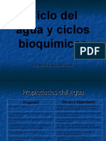 Ciclos Biogeoquimicos