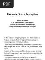 Binocular Space Perception