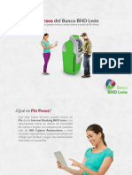 Instructivo Pin Pesos PDF