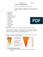 Tarea 1 Geol - Gral