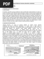 Guia Sistema Endocrino 2 MEDIO