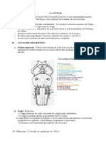 13-Le Nerf Facial PDF