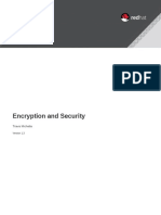 Encryption and Security: Travis Michette