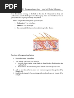 Adult Nursing 2020/ Integumentary System Assist Lect /shelan Qahraman Skin