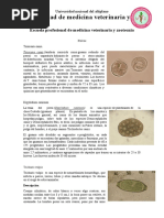 Parasitologia 1