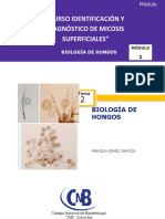 MODULO 1 Tema 2