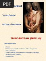 Tecido Epitelial