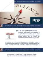 Sesion 12 - Modelos de Excelencia (Te)