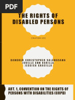 The Rights of Disabled Persons