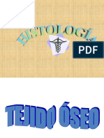 Tejido Oseo 1