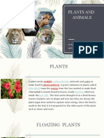 In This You Will Learn About Plants and Animals