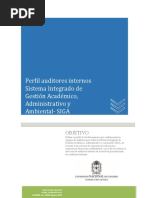 Perfil Auditor Interno