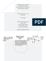 Infografia Neurodesarrollo