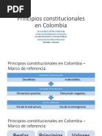 Principios Constitucionales Colombia