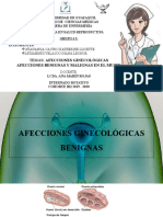 3) Afecciones Ginecológicasbenignasymalignasenlamujer