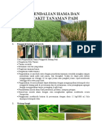 Format Redaksi Leaflet Marsel