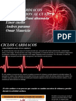 Ciclos Cardiacos