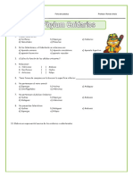 Ficha de Practica Phylum-Cnidarios