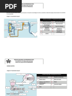 Partes Del Embrague