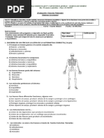 Prueba Ciencias Sistema Locomotor