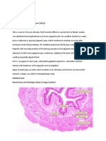 CABITAC Histology (Digestive) Final