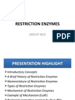 Restriction Enzymes: Group No2