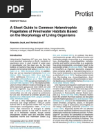 A Short Guide To Common Heterotrophic Flagellates of Freshwater Habitats Based On The Morphology of Living Organisms PDF