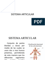 Sistema Articular